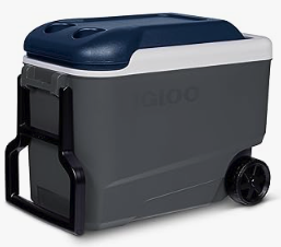 MaxCold38 L