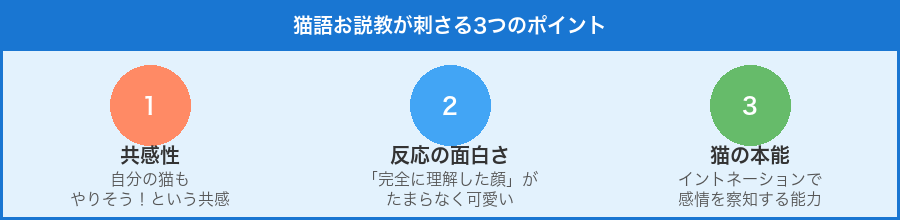 猫語お説教が刺さる3つのポイント