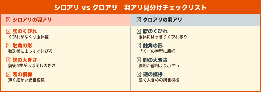 シロアリvsクロアリ羽アリ見分けチェックリスト（イメージ図）